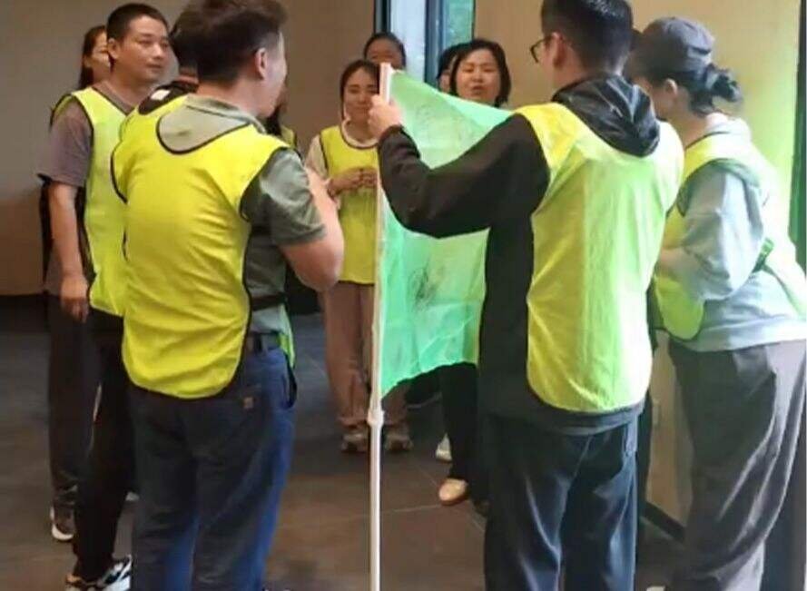 Intlpack environmental protection charity activities: building a green future together, we are taking action